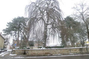 Stadtpark Müllheim