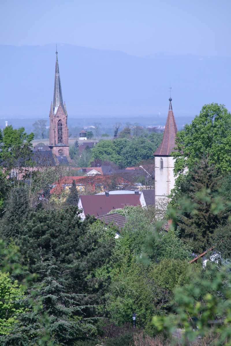 2014.04.17 Mülleimansichten 024-001