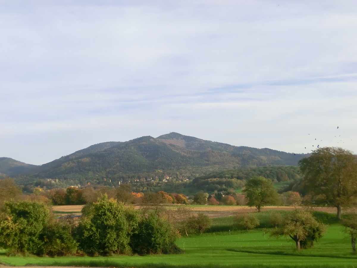 Herbst2013-15